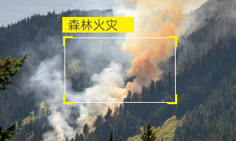 目標(biāo)存在性識(shí)別