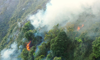 快速響應(yīng)&nbsp;